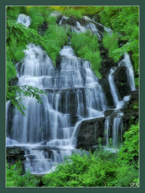 photo "Slatestone Brook" tags: landscape, nature, summer