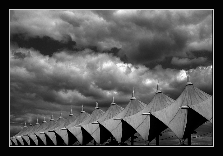 фото "storm-tossed" метки: разное, 