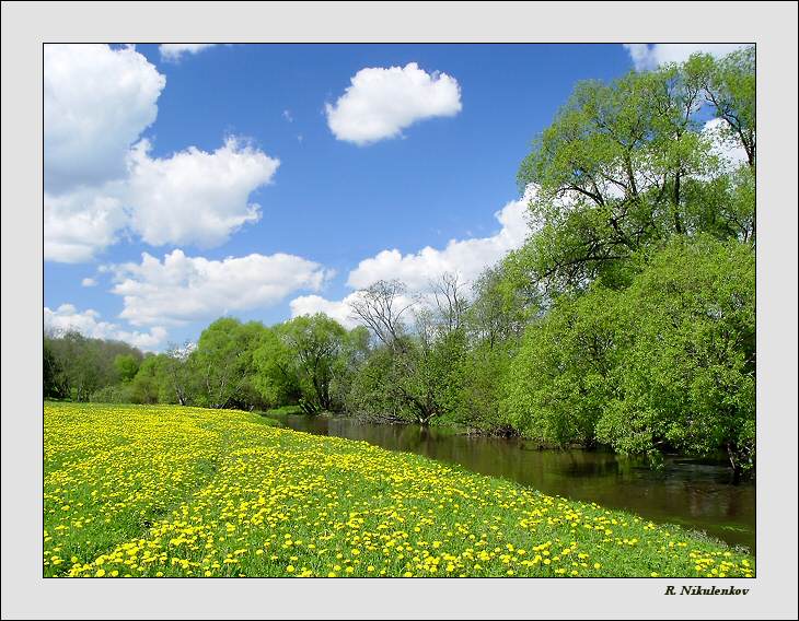 photo "Spring" tags: landscape, summer