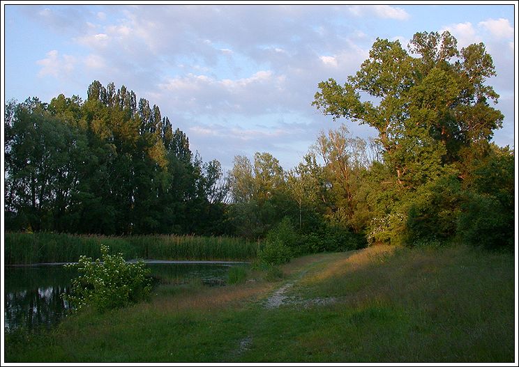 фото "some late-spring landscape" метки: пейзаж, весна