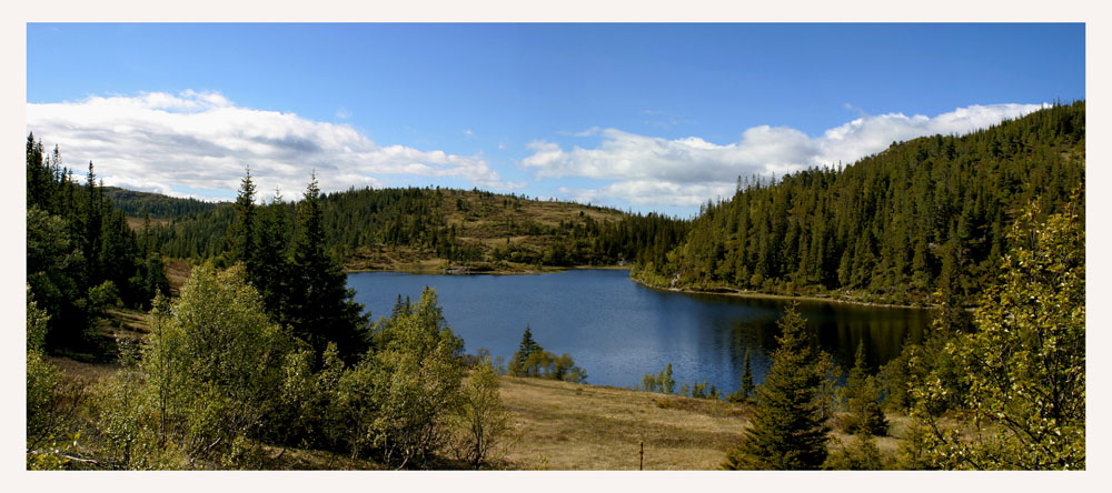 photo "Forest lake" tags: landscape, summer