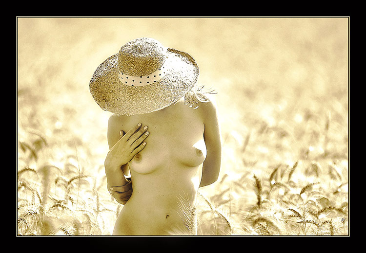 photo "Golden Summer" tags: nude, 