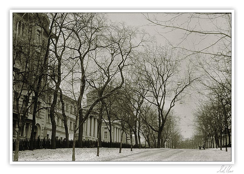 photo "Rozhdestvenskiy boulevard" tags: architecture, black&white, landscape, 