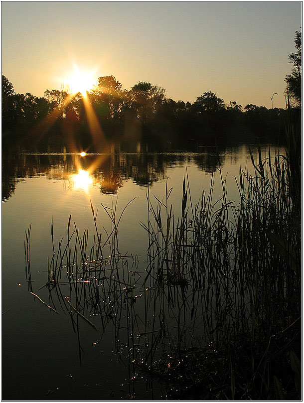 photo "orell #2" tags: landscape, sunset, water