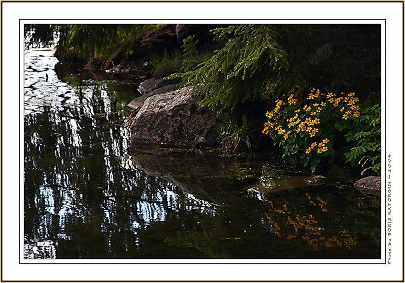 photo "Realism and abstraction" tags: landscape, nature, flowers, water