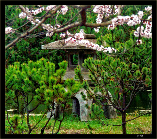 photo "Lantern" tags: landscape, nature, flowers