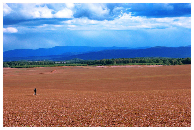 photo "still walking..." tags: landscape, travel, 