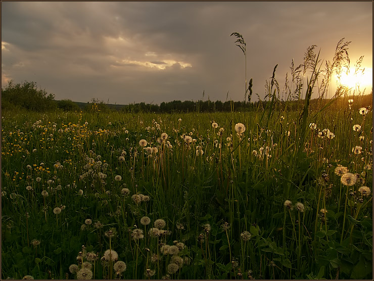 photo "The last vernal evening." tags: landscape, spring, sunset