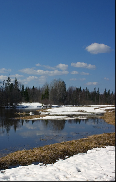 photo "Inflows of Onega" tags: landscape, spring