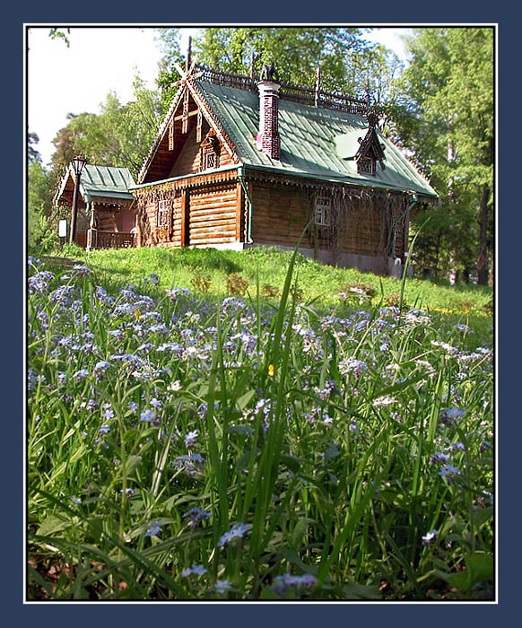 фото "Фиалки в Абрамцево." метки: пейзаж, природа, весна