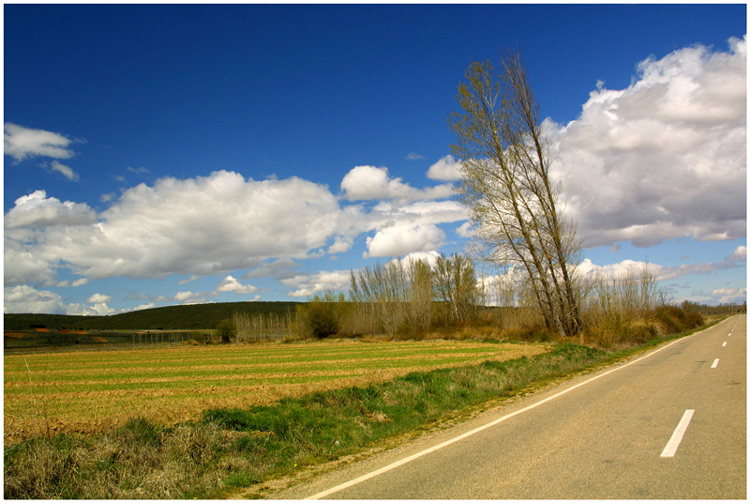 photo "Caminos" tags: landscape, 