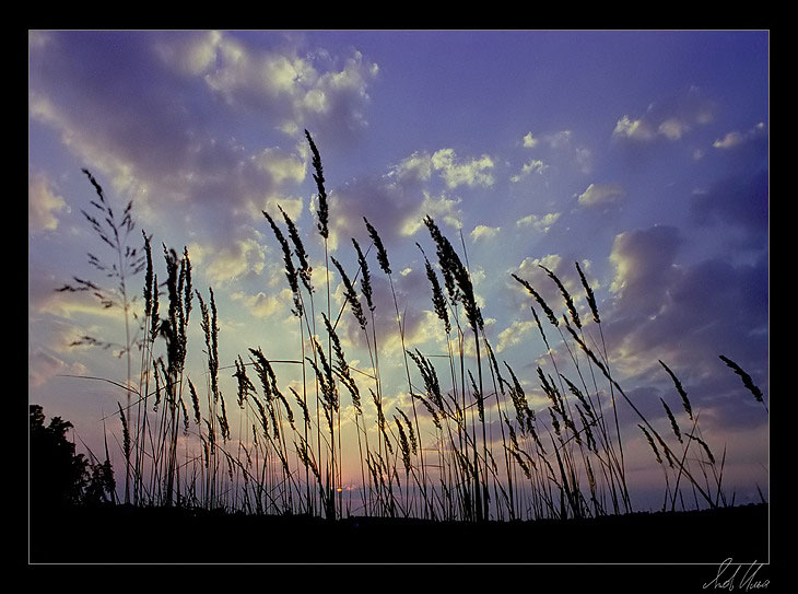 photo "Soon night" tags: landscape, clouds, sunset