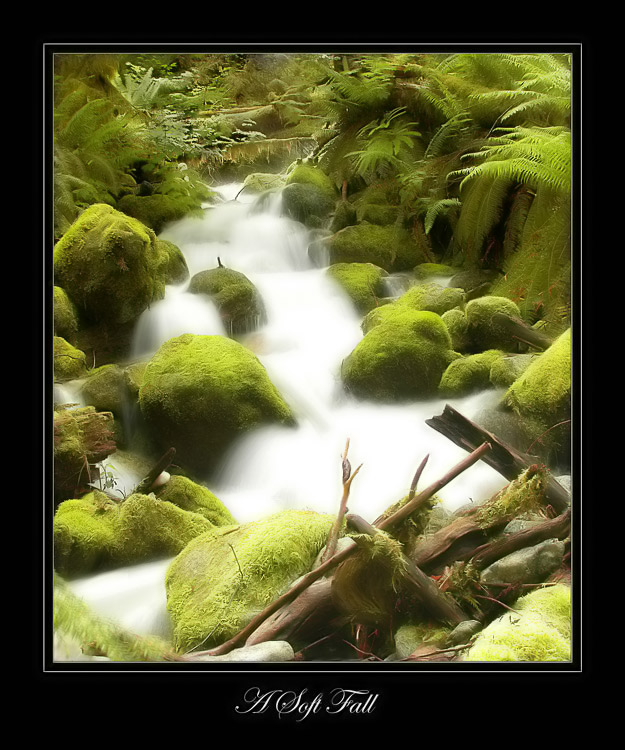 фото "A soft Fall" метки: пейзаж, вода, лес