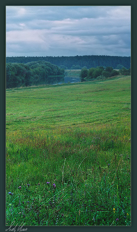 photo "Evening at the river" tags: landscape, forest, summer