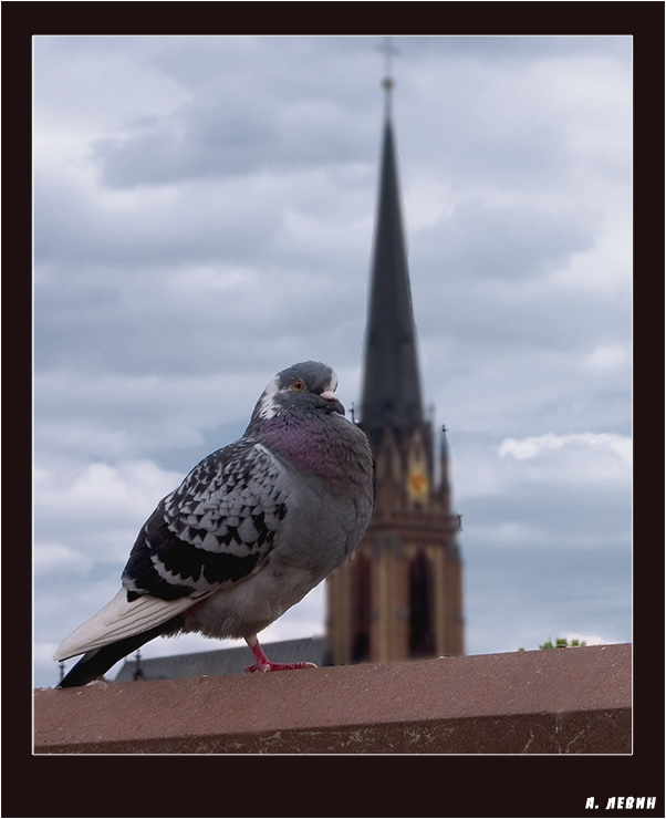 photo "***" tags: architecture, nature, landscape, 