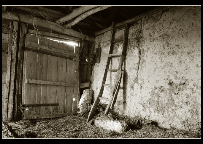 photo "About a ladder" tags: old-time, black&white, 