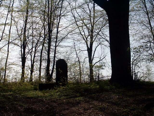 photo "Tomb" tags: landscape, forest