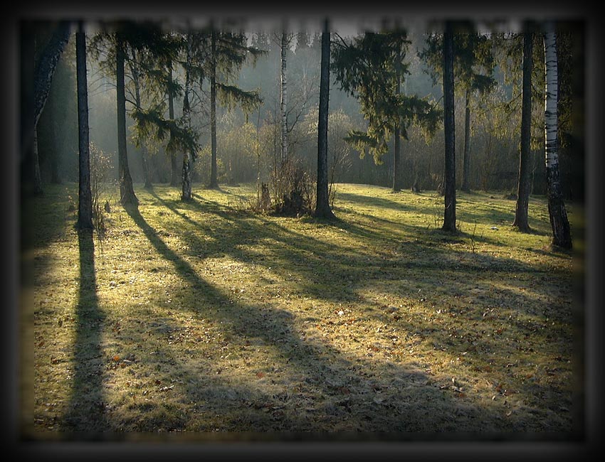 фото "Сказочный мир" метки: пейзаж, весна, лес