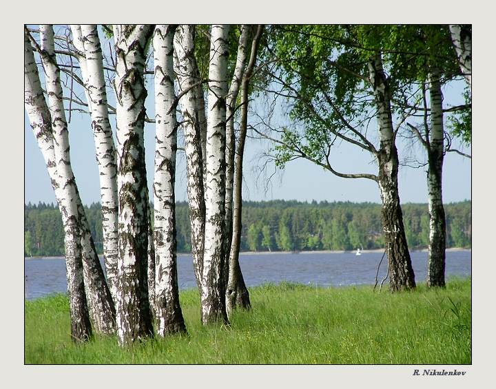 photo "***" tags: landscape, forest, water