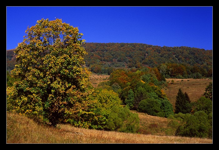 photo "***" tags: landscape, autumn