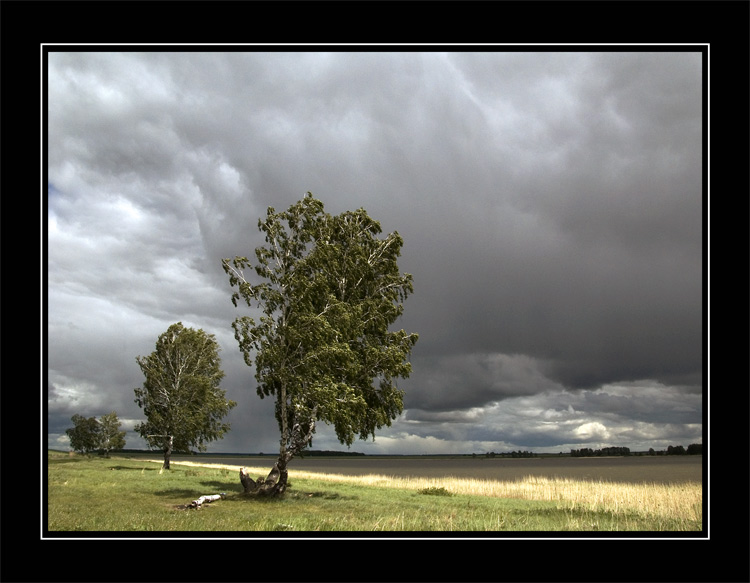 фото "Порыв" метки: пейзаж, лето, облака