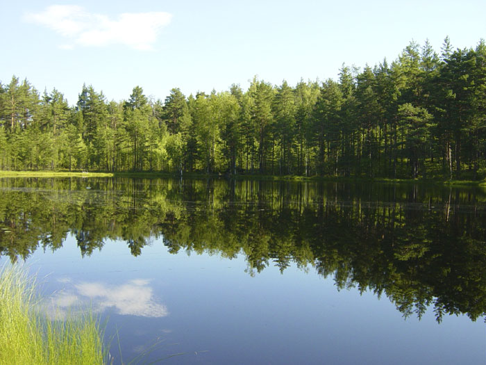 photo "Mirror" tags: landscape, water