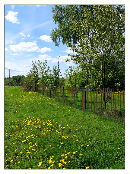 фото "Летнее настроение" метки: пейзаж, природа, лето