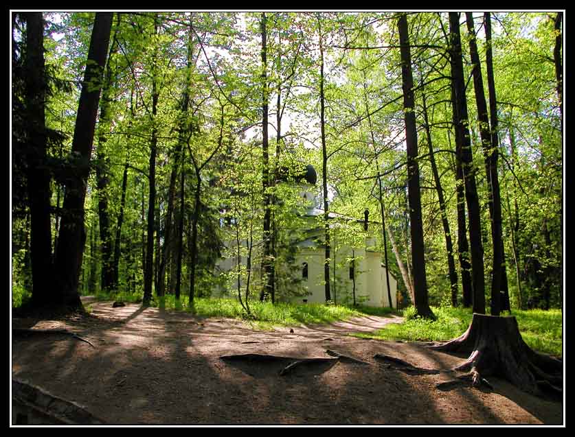 photo "Church in park" tags: landscape, forest, spring