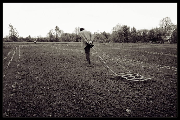 photo "Rural..." tags: reporting, black&white, 