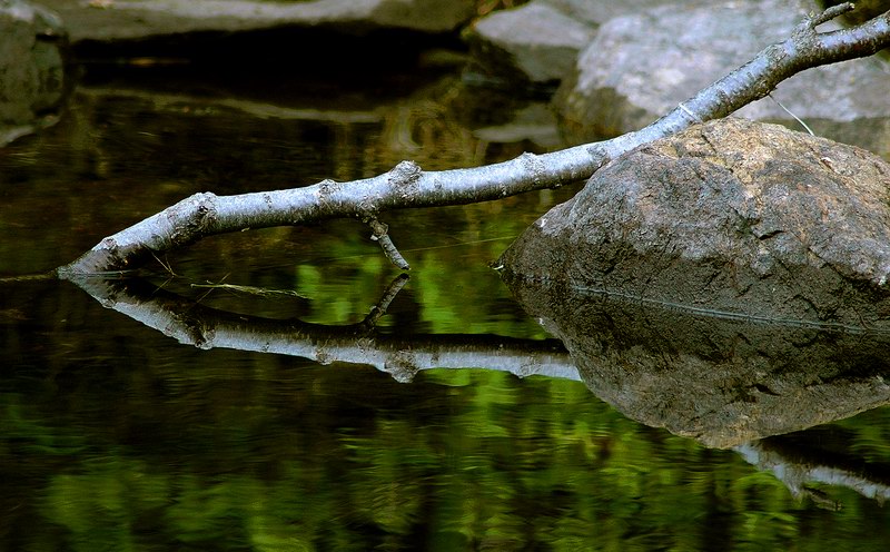 photo "a small piece of nature" tags: landscape, nature, flowers, water