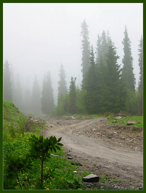 photo "Fog in mountains #3" tags: landscape, mountains