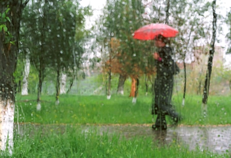 photo "Lady with a umbrella" tags: landscape, nature, spring