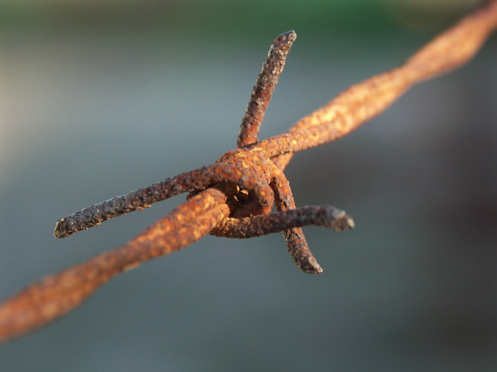 photo "NoTrespass" tags: macro and close-up, 