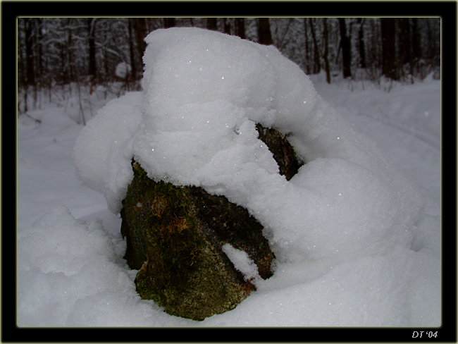 photo "snow hat" tags: misc., 