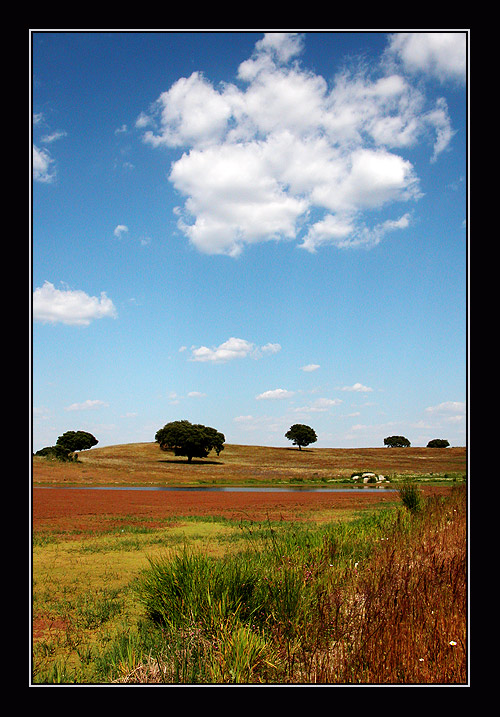 фото "some fine day" метки: пейзаж, весна