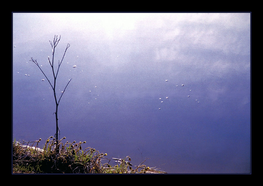 фото "Тишина уснувшего пруда..." метки: пейзаж, горы