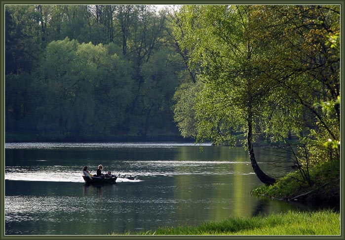 photo "Downstream" tags: landscape, forest, water