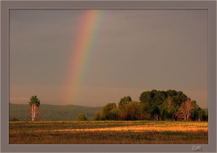 photo "Rainbow" tags: macro and close-up, 