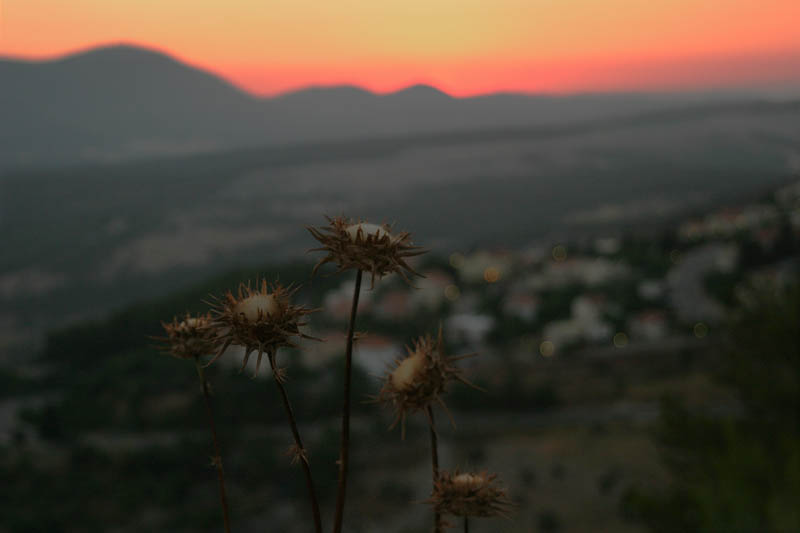 photo "Evening" tags: landscape, sunset