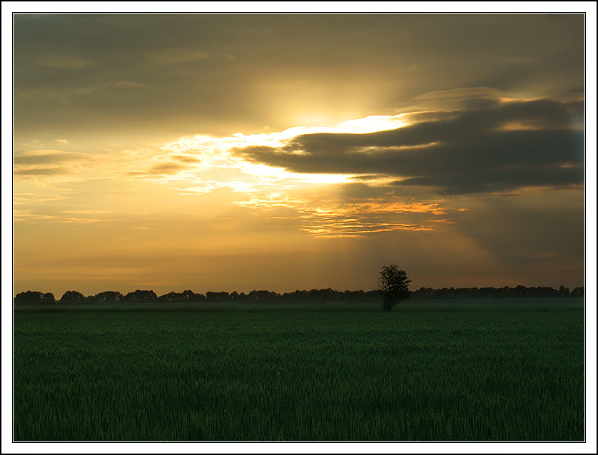 photo "birth of day" tags: landscape, nature, sunset