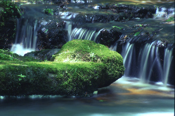 photo "Mini Falls" tags: landscape, forest, water