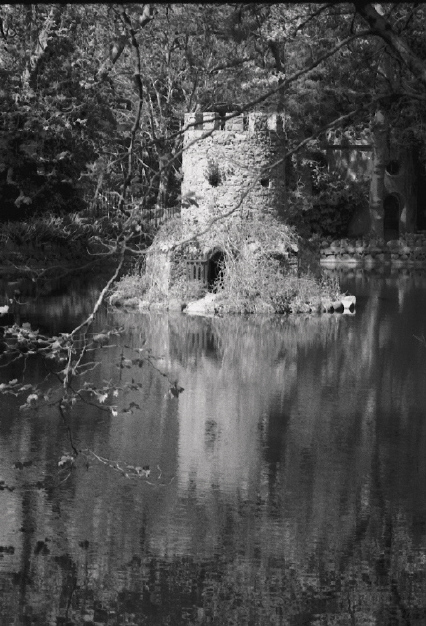 photo "Small castle for small creatures" tags: landscape, black&white, water