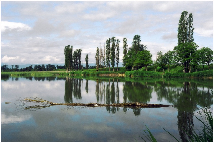 photo "The lake" tags: landscape, summer, water