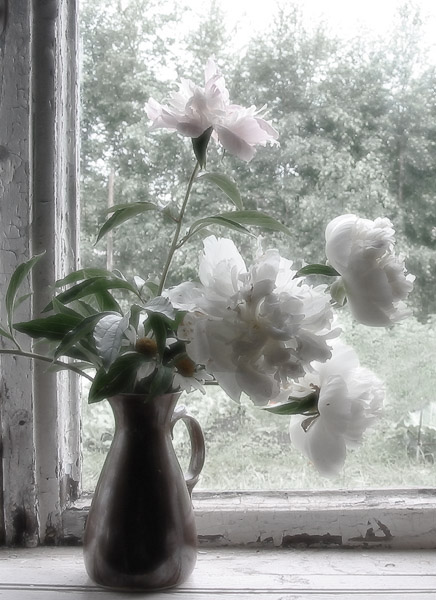 photo "Window, summer residence." tags: still life, 