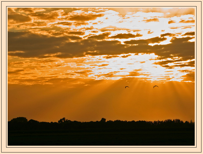 photo "Towards the sunset." tags: landscape, nature, sunset