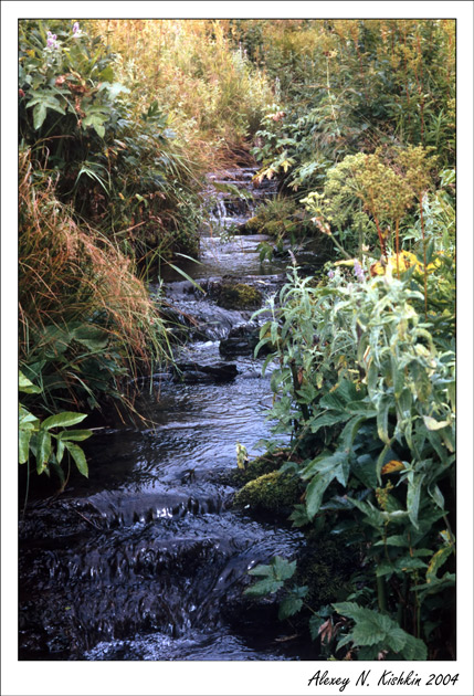 photo "Creek" tags: nature, landscape, 