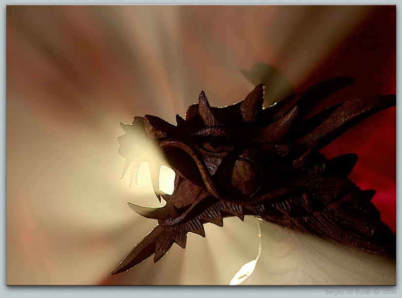 photo "Dragon" tags: still life, abstract, 