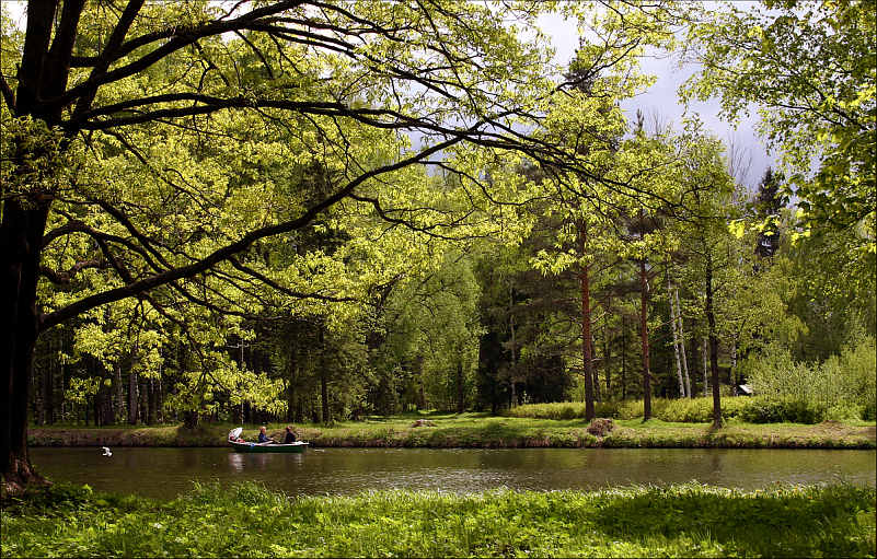 photo "Summer day" tags: landscape, forest, water