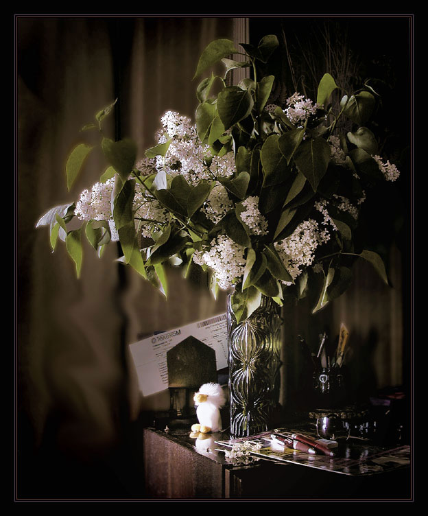 photo "Bouquet of a lilac" tags: still life, 