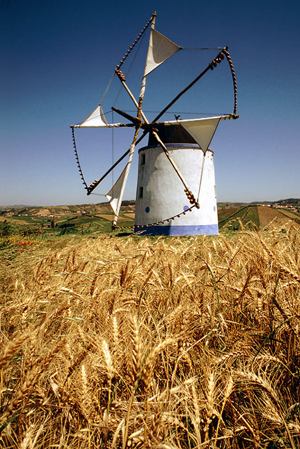 фото "Corn field and mill" метки: пейзаж, жанр, весна